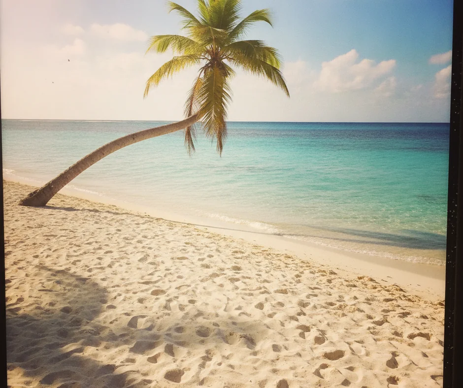 Ocean